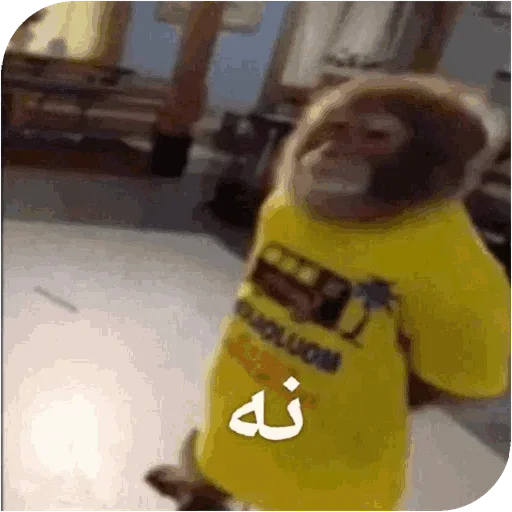 Monkey_owo 4