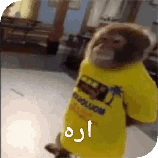 Monkey_owo 5