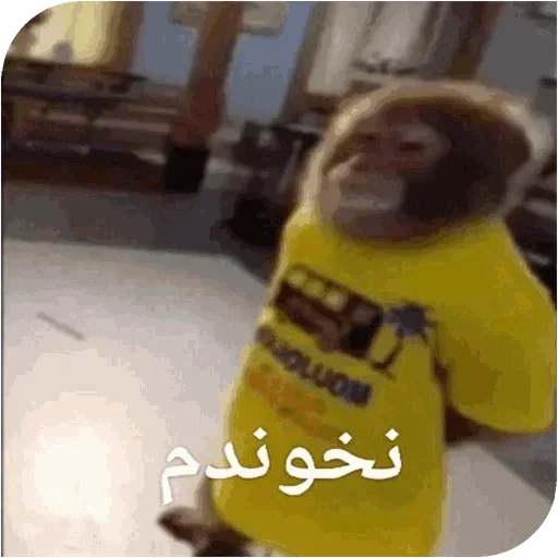 Monkey_owo 6