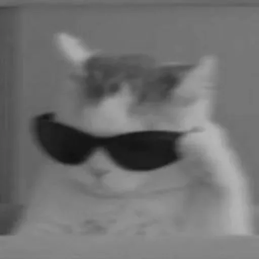 Mood265 3