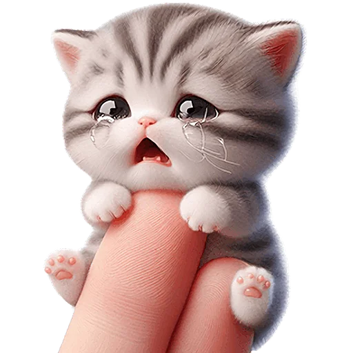 Mrico_Cat_Nyasticks 5