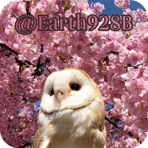 OwlsEarth928B 5