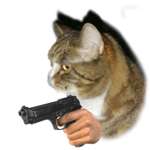 PistoleCat_Stfn 7