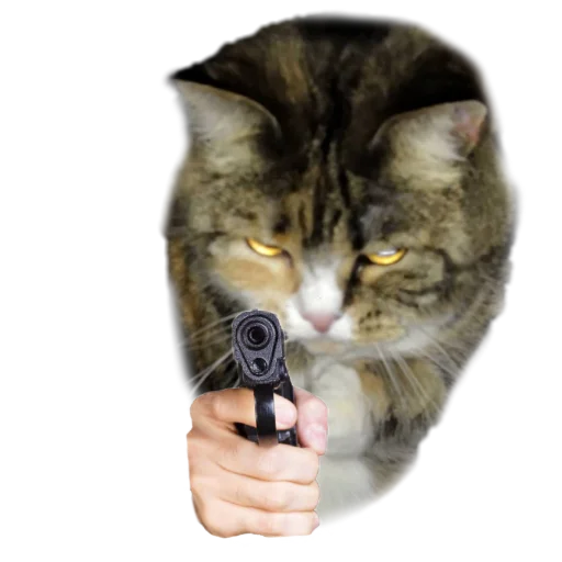 PistoleCat_Stfn 9