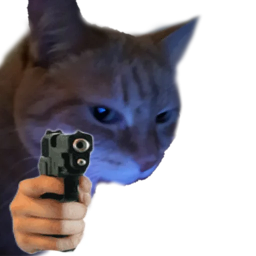 PistoleCat_Stfn 10