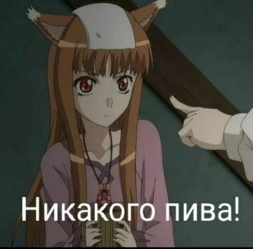 Repman 5