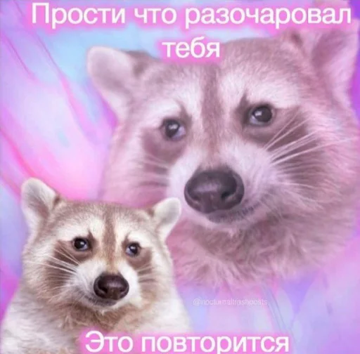 Repman 6