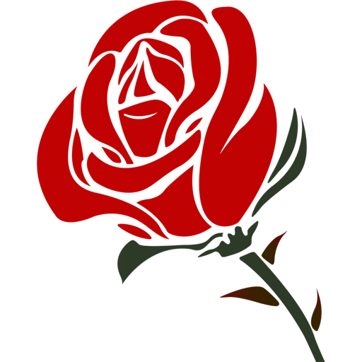 Roses_Color 2