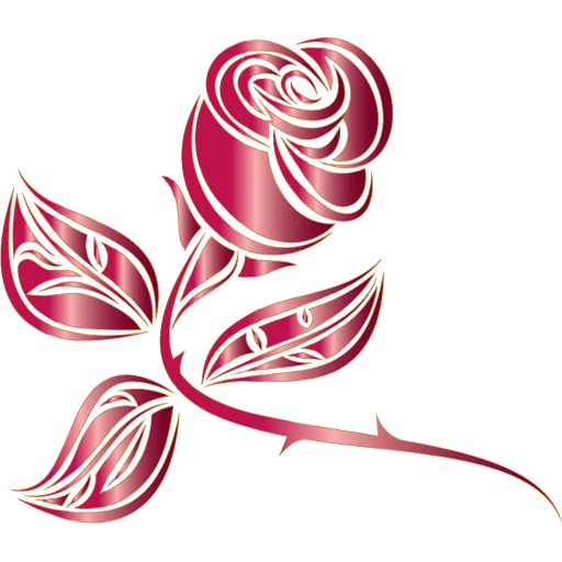 Roses_Color 4