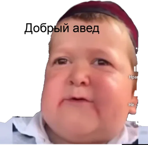 Saidkin 2
