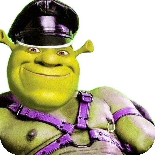 ShrekByIluHas1 3