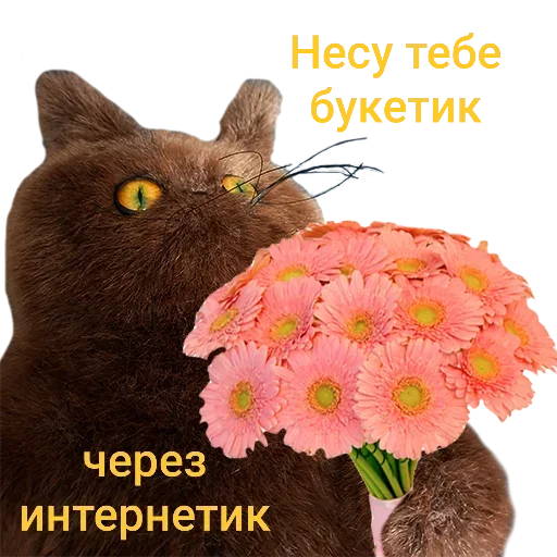 Stickersforr001 5