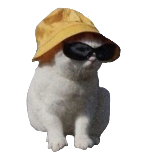 Warrior_cats_memes_and_arts 6