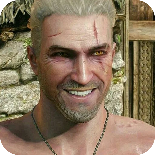 WitcherDSSP 1