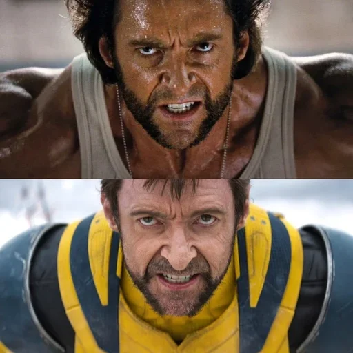 WolverineFan 4