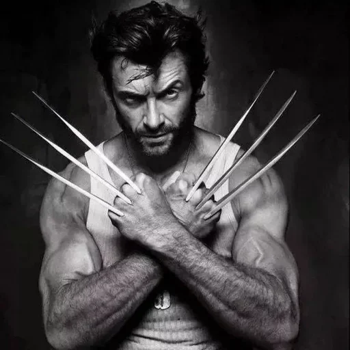 WolverineFan 5