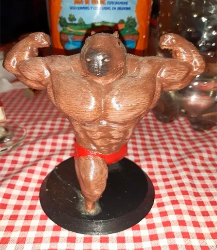 capoeporolvbelb 7