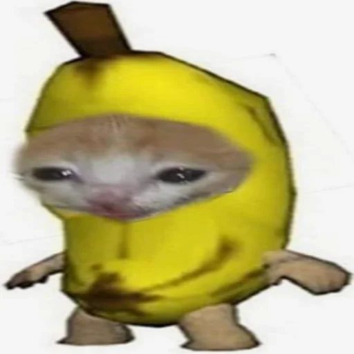 cryingbananacat 1