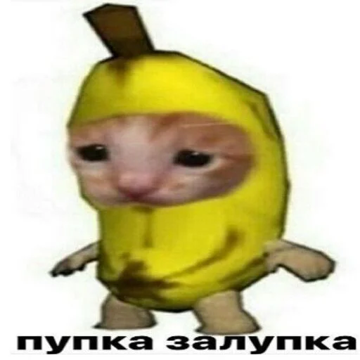 cryingbananacat 2