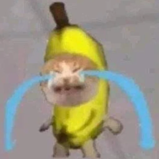 cryingbananacat 3