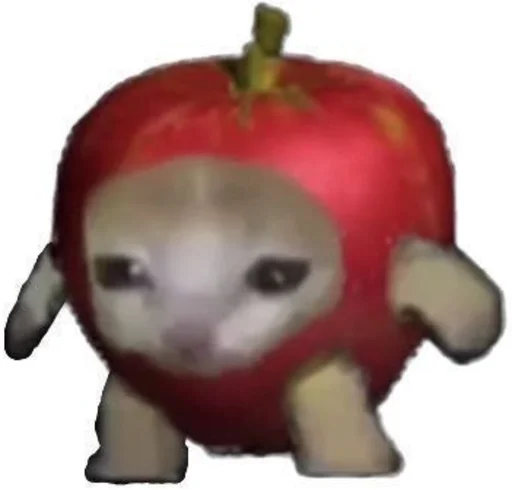 cryingbananacat 4
