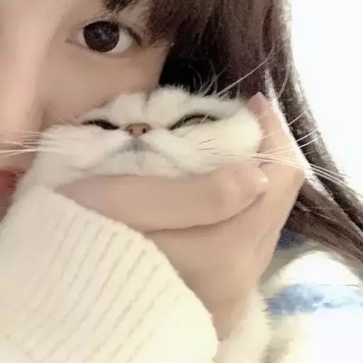 cuttiiinkz 5
