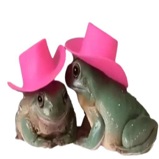 frogeMI 4