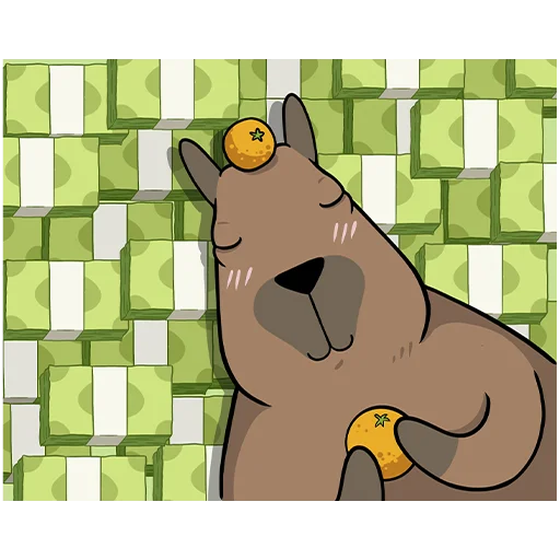 hashbars 6