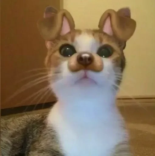 kebwka_blin 1