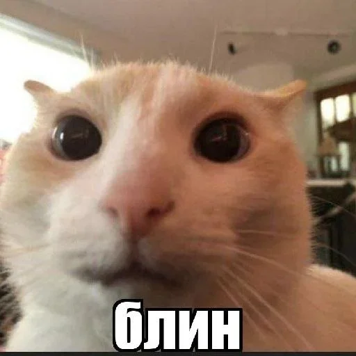 kebwka_blin 2