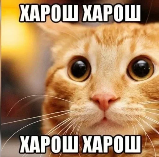 kebwka_blin 6