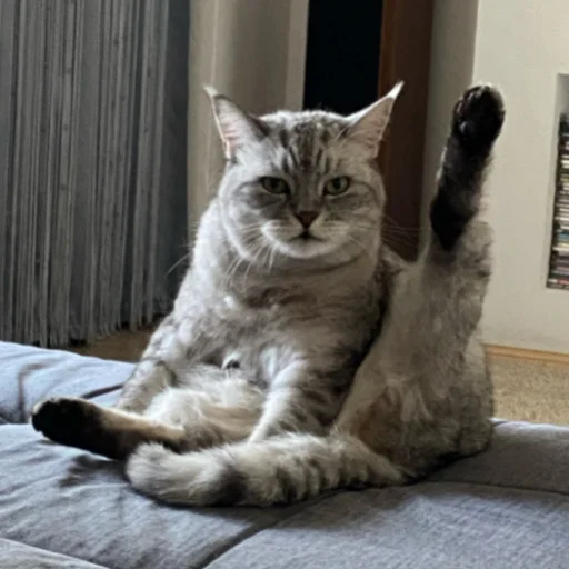 lucpus 3