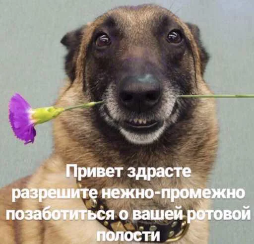 meeemmees 3