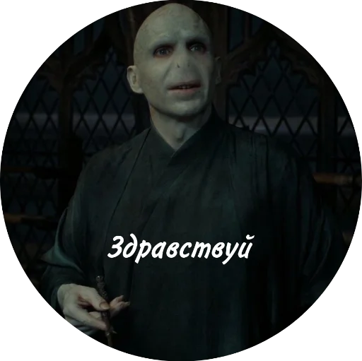 memnyVoldi 17