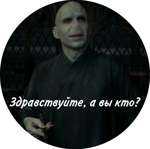 memnyVoldi 19