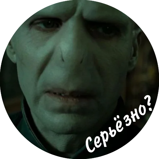 memnyVoldi 23