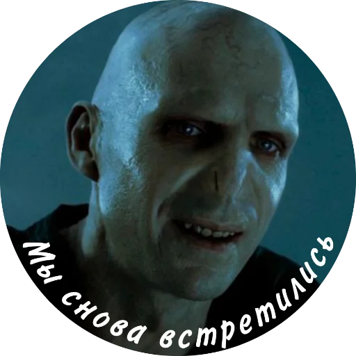 memnyVoldi 29
