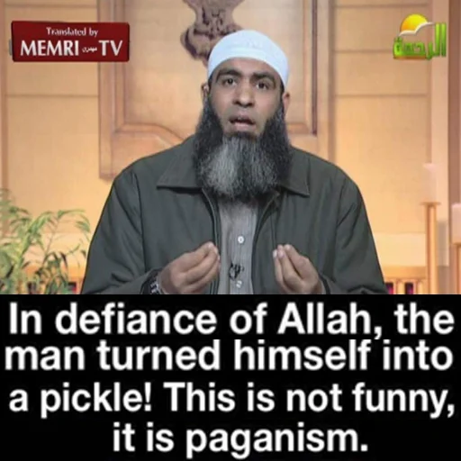 memri_mark 5