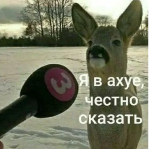 memsforAyTiStS 14