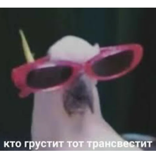 memsforAyTiStS 15