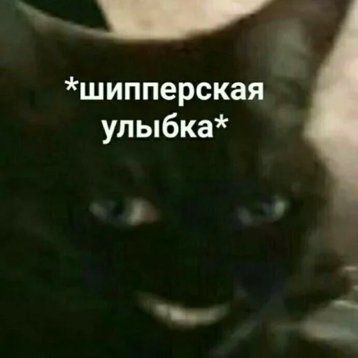memsforAyTiStS 16