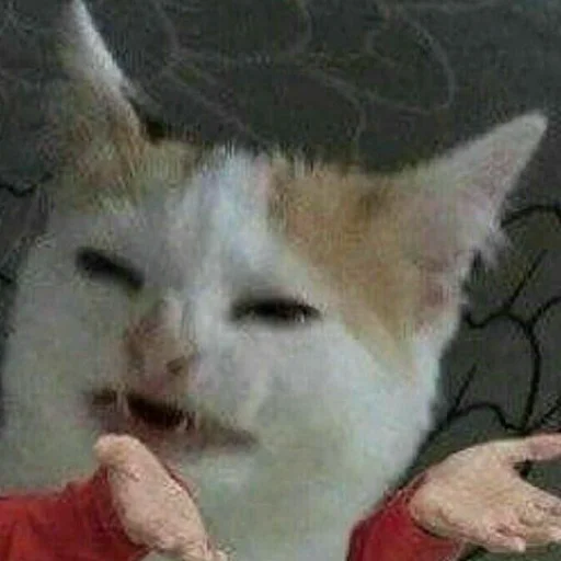 memsforAyTiStS 21