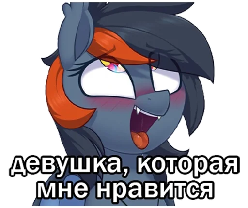 mlfpack 17