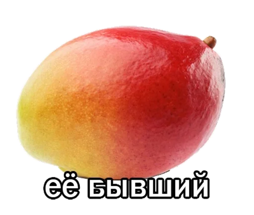 mlfpack 21