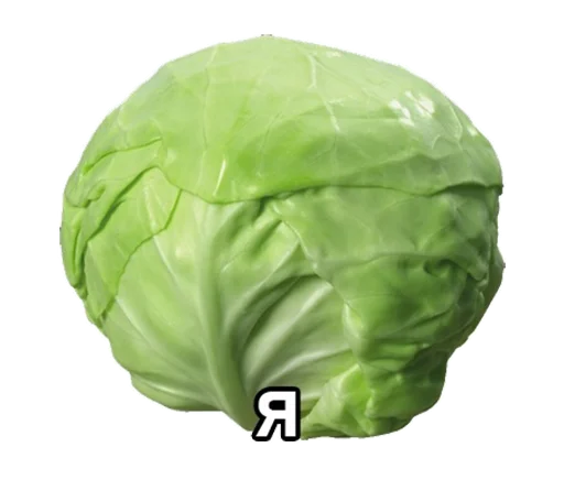 mlfpack 22