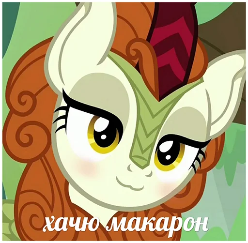 mlfpack 27