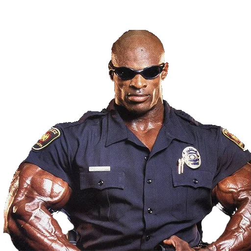nozignur 6