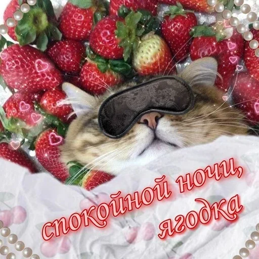 pictureforcutepeople1 2