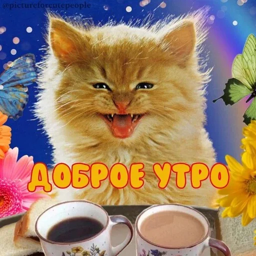 pictureforcutepeople1 4