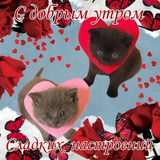pictureforcutepeople2 1